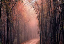 Meta Stock Price: What the Data Reveals