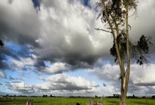 Ubisoft Stock: The Future Potential